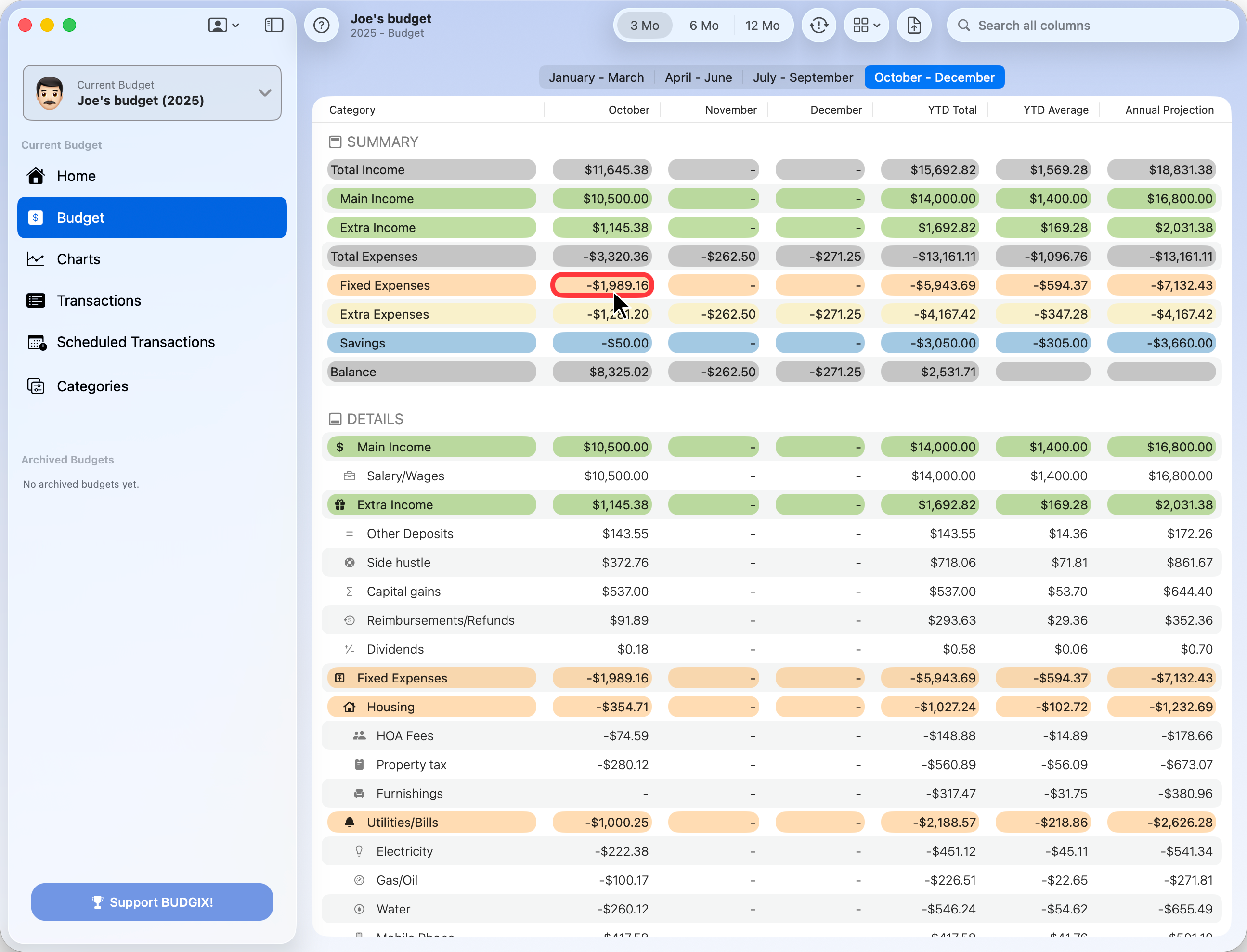 BUDGIX Budget Cell Highlighted